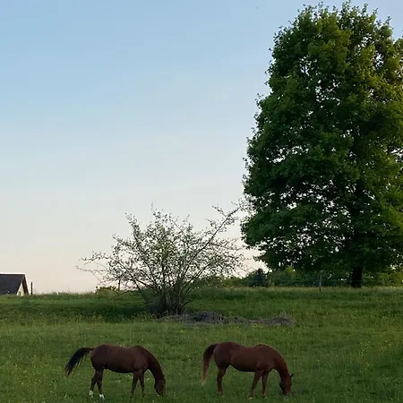 Martine - Coeur D'alsace *