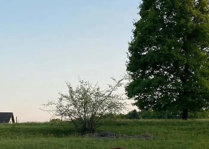 Martine - Coeur D'alsace *