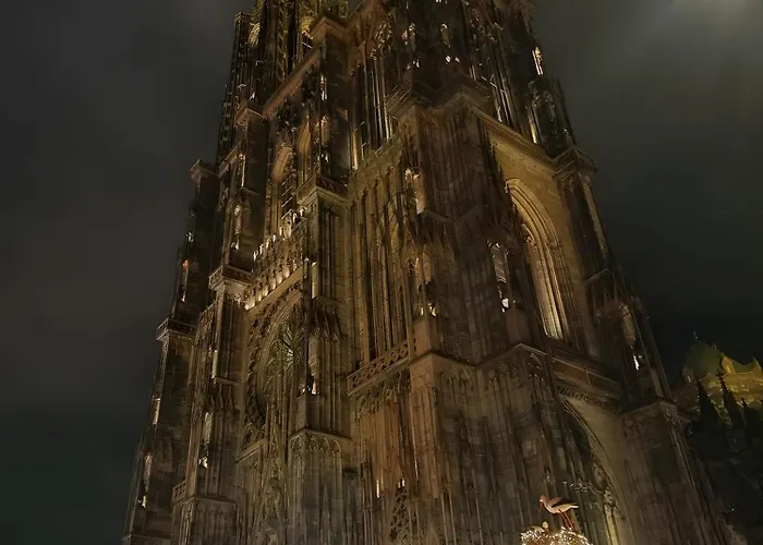 Martine - Coeur D'alsace Apartament *